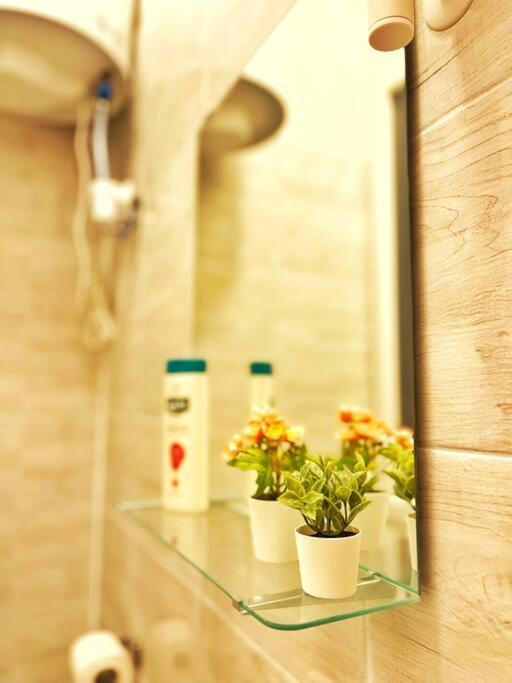 Central Studio Flat Budapeszt Zewnętrze zdjęcie
