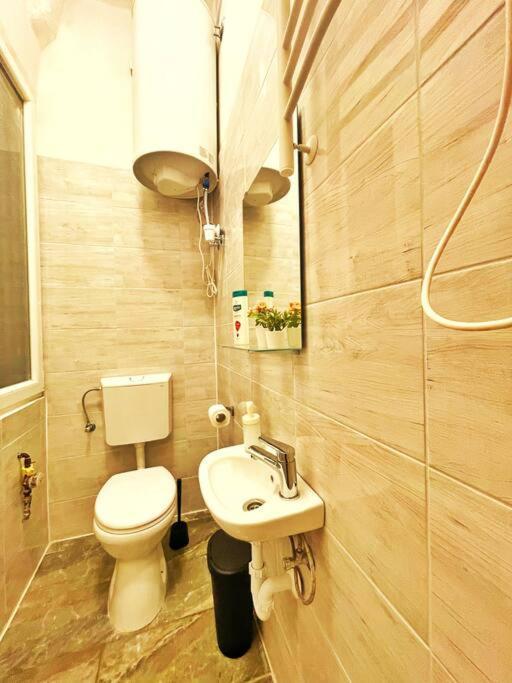Central Studio Flat Budapeszt Zewnętrze zdjęcie